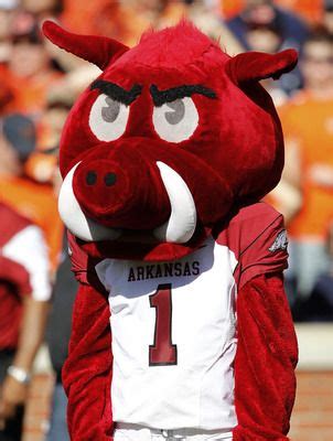 Arkansas collegiate mascot